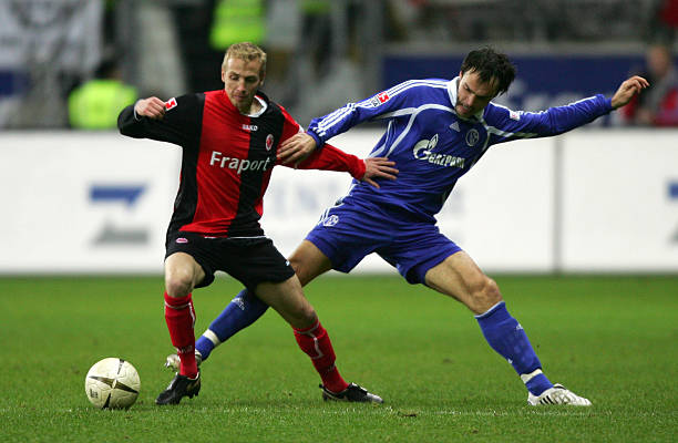 国际雪联世 国际雪联世